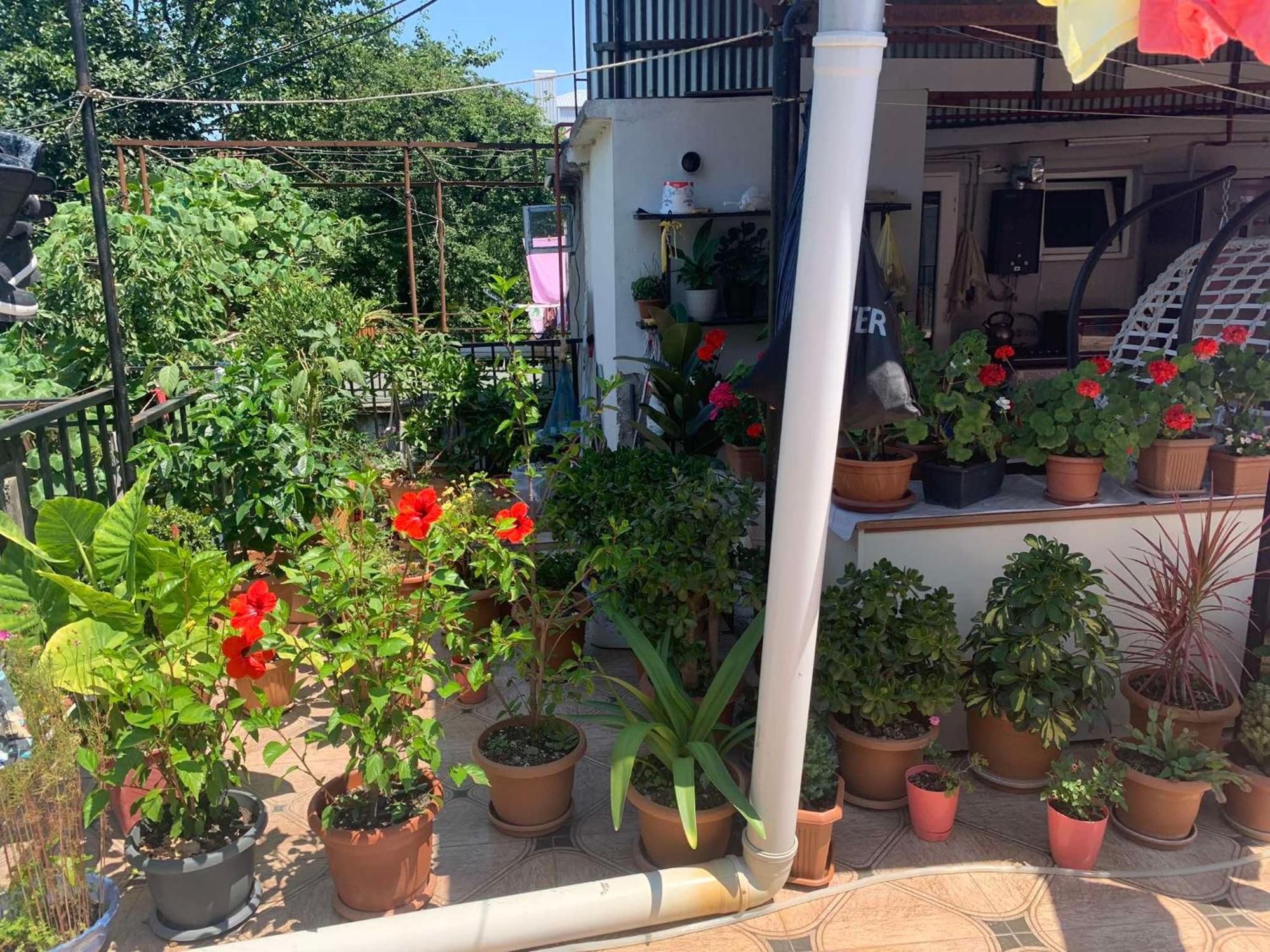 Tinas Sweet Home Batumi Luaran gambar